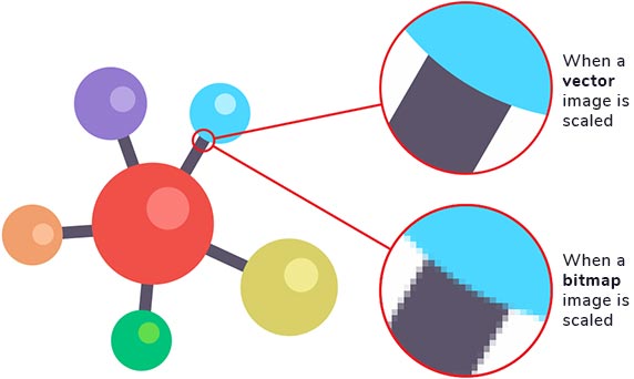 Vector-image-vs-bitmat-image-scaled